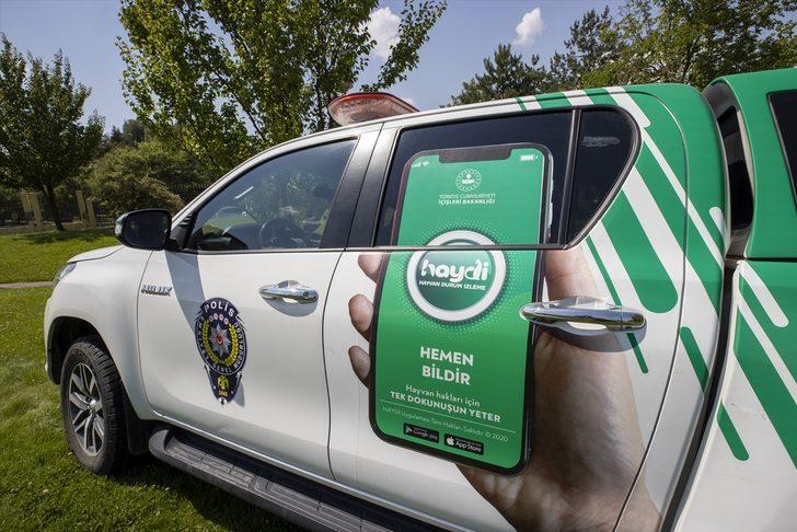 Sokak hayvanları "emniyette" G1
