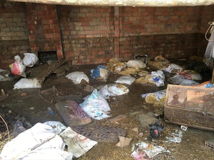 Çorum'da şiddetli yağış su baskını ve ekili arazilerde zarara neden oldu G3