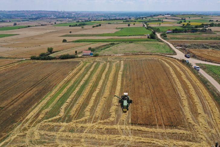 Edirne'de yağışlar nedeniyle ara verilen arpa hasadı başladı G4