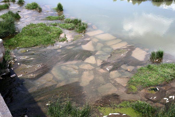 Kızılırmak'ta balık ölümlerinin nedeni araştırılıyor G2