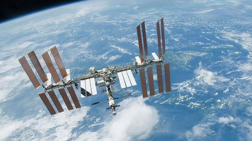 Uzay uçuşlarının insan sağlığına etkisi mürekkep balıkları sayesinde tespit edilebilecek