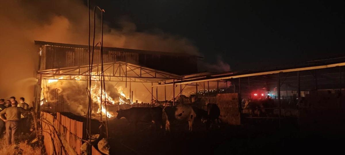 Manisa'da ağılda &ccedil;ıkan yangın s&ouml;nd&uuml;r&uuml;ld&uuml;