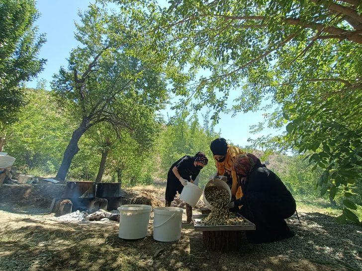 Coğrafi işaret alan Sivan dut pekmezi tatlı yolculuğuna bu yıl da başladı G2