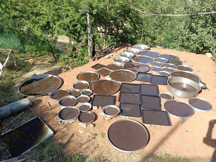 Coğrafi işaret alan Sivan dut pekmezi tatlı yolculuğuna bu yıl da başladı G3