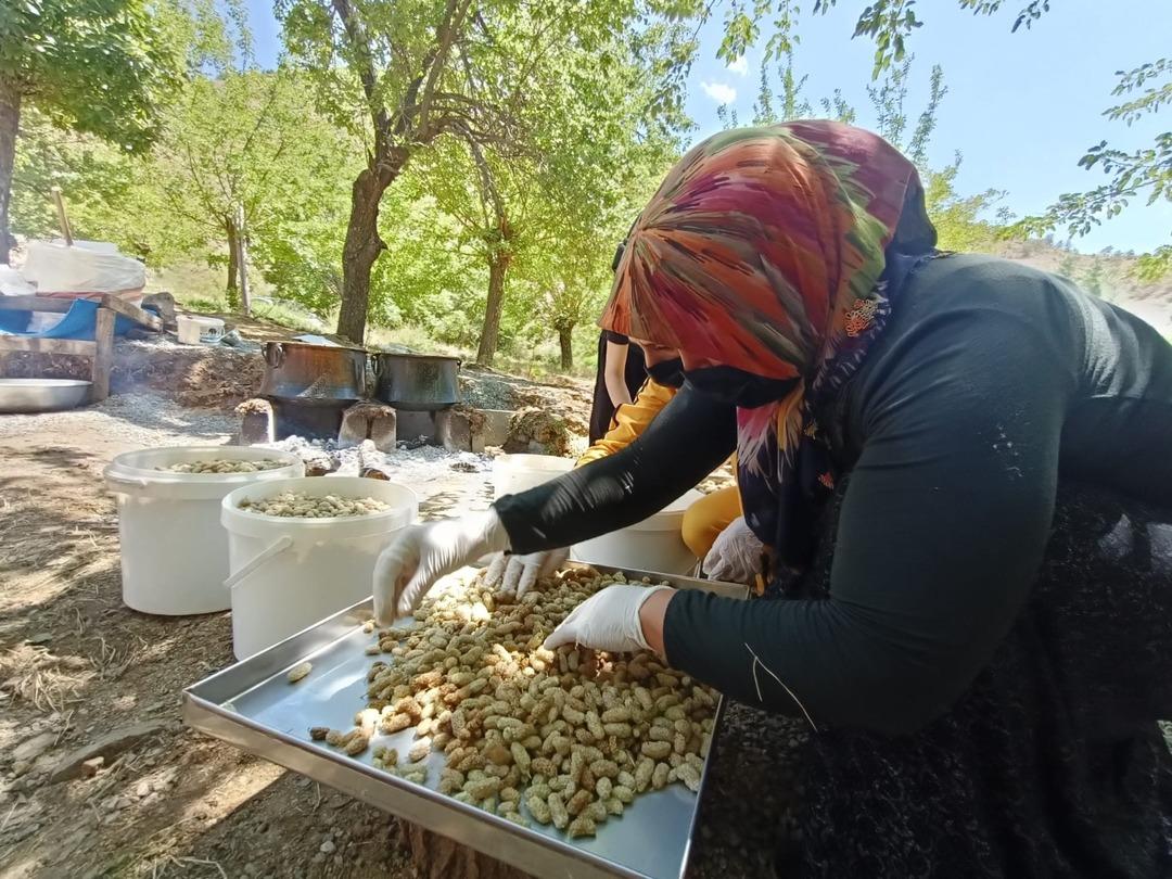 Coğrafi işaret alan Sivan dut pekmezi tatlı yolculuğuna bu yıl da başladı