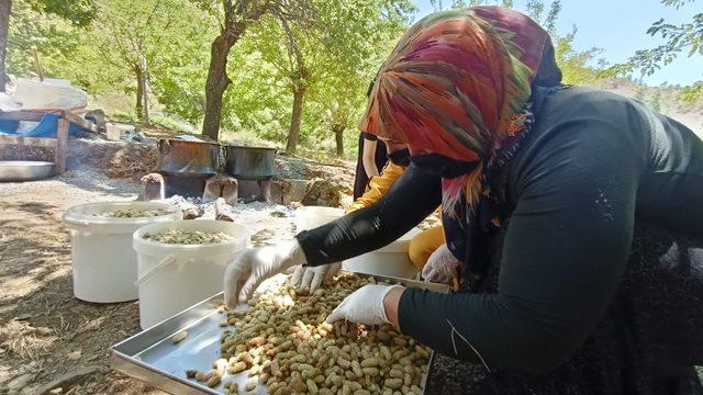 Coğrafi işaret alan Sivan dut pekmezi tatlı yolculuğuna bu yıl da başladı