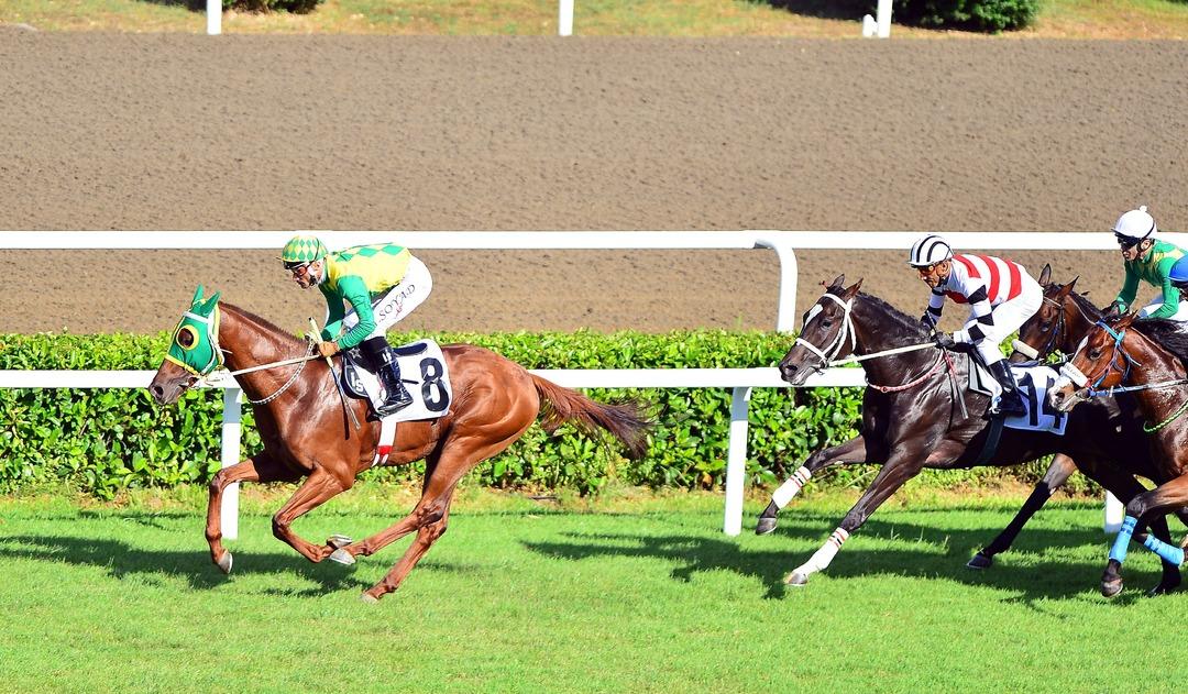 Gazi Koşu&rsquo;sunu kim kazandı? İşte Gazi Koşusu&rsquo;nun şampiyonu&hellip;