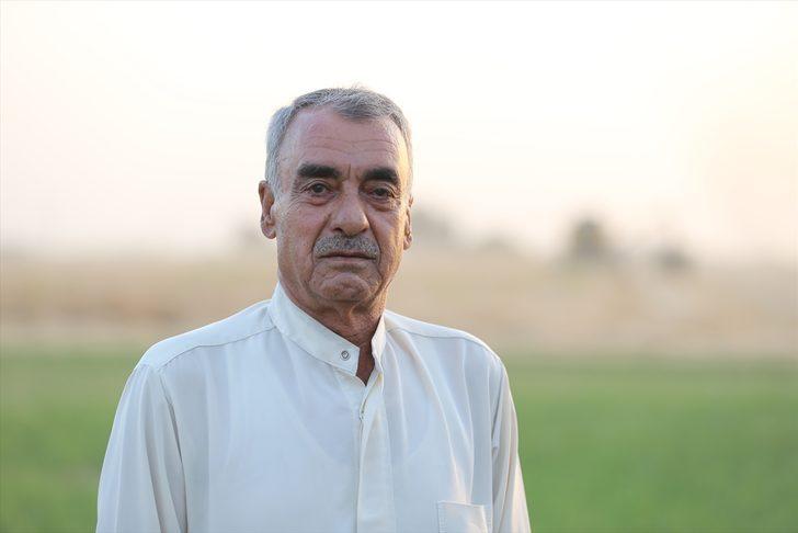 Mardin'de bu sezon 800 bin ton buğday üretildi G3