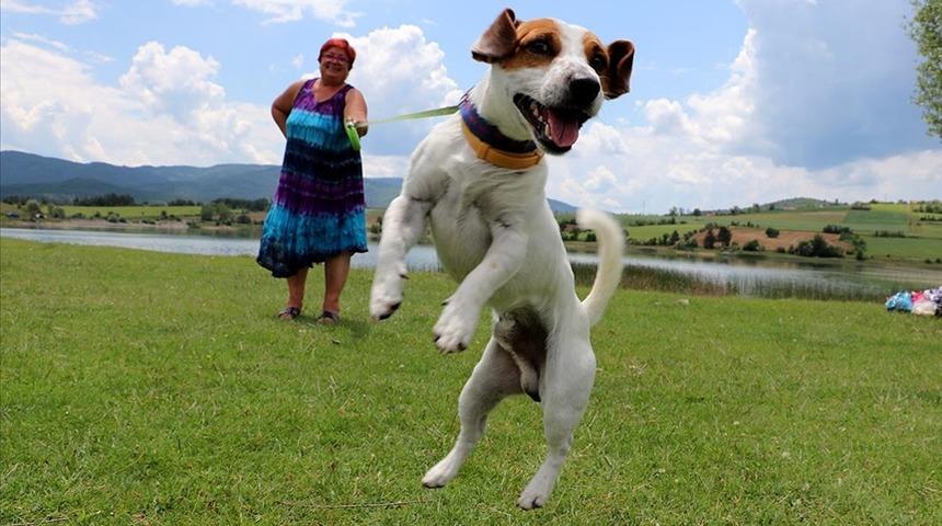 Köpekleri Tarçın’ı yanlarına alarak karavan tatiline çıktılar! Karavan tutkusu engel tanımadı