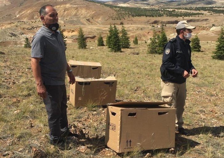 Konya'da izinsiz keklik bulunduran kişiye 61 bin 390 lira ceza G2