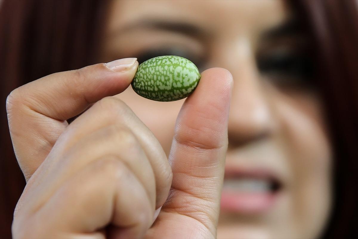 Antalya'da "1. Uluslararası Turizm Gastronomisi ve Ağırlama Zirvesi" d&uuml;zenlendi