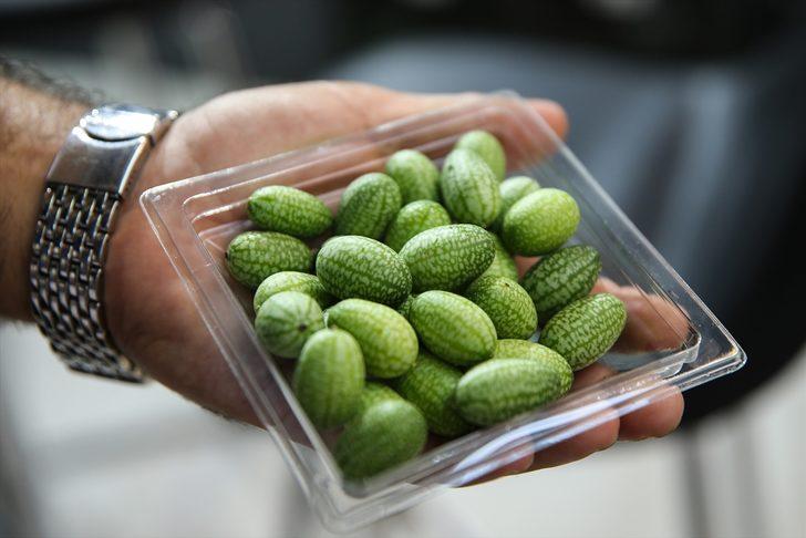 Antalya'da "1. Uluslararası Turizm Gastronomisi ve Ağırlama Zirvesi" düzenlendi G2