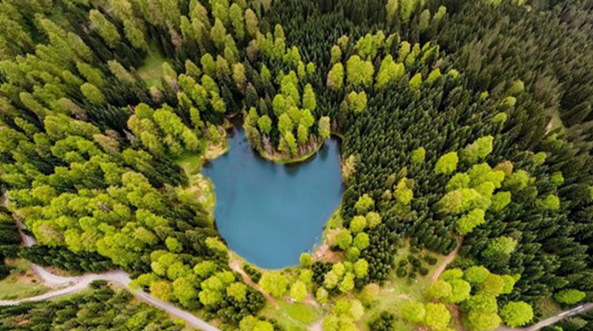 Düzce’de kampçıların uğrak yeri oldu! Torkul Yaylası ve Göleti kartpostalları kıskandıracak görüntüler oluşturdu