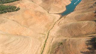 Sudan toprak tadı geldi, Kaliforniya'da yetkililer ilginç çözümüyle dikkat çekti: Limon sıkın