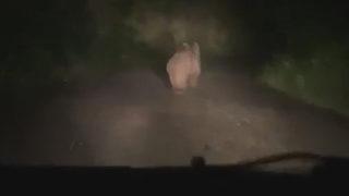 Bir köy onun yüzünden susuz kaldı! Karşısında görünce şaşkına döndü