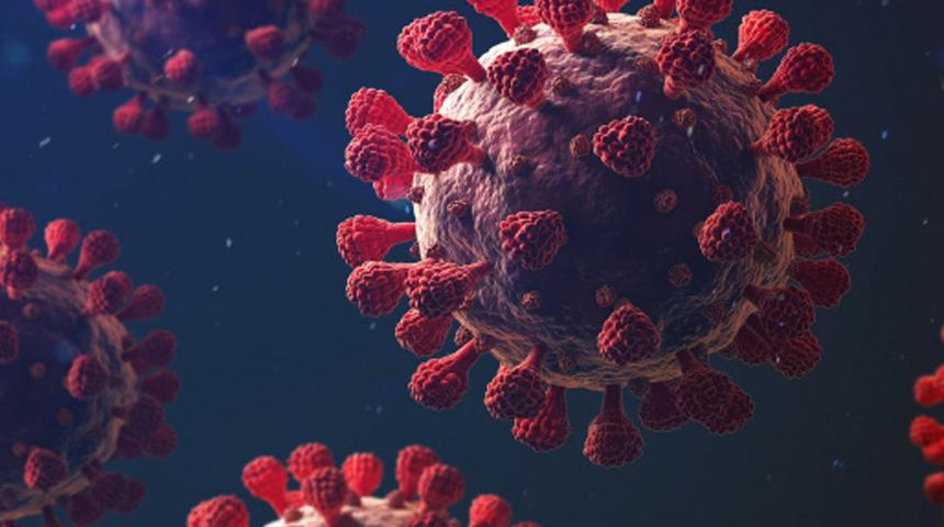 ABD'de çarpıcı Kovid-19 araştırması! Kökeni 20 bin yıl önceye dayanıyor olabilir