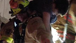 ABD'de çöken bina 11 Eylül saldırılarını hatırlattı, bir çocuğun enkaz altından sesi böyle duyuldu: Lütfen beni bırakma