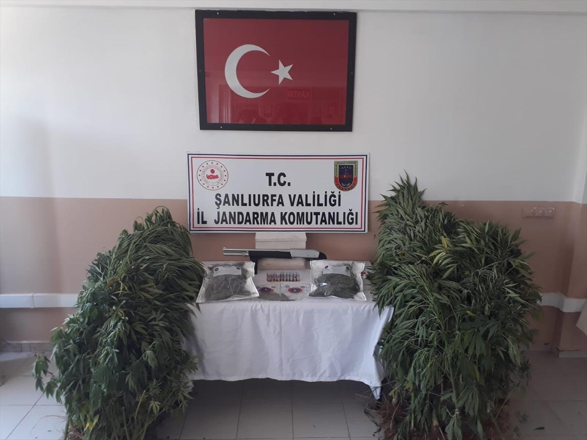 Şanlıurfa'da uyuşturucu operasyonunda 2 tutuklama