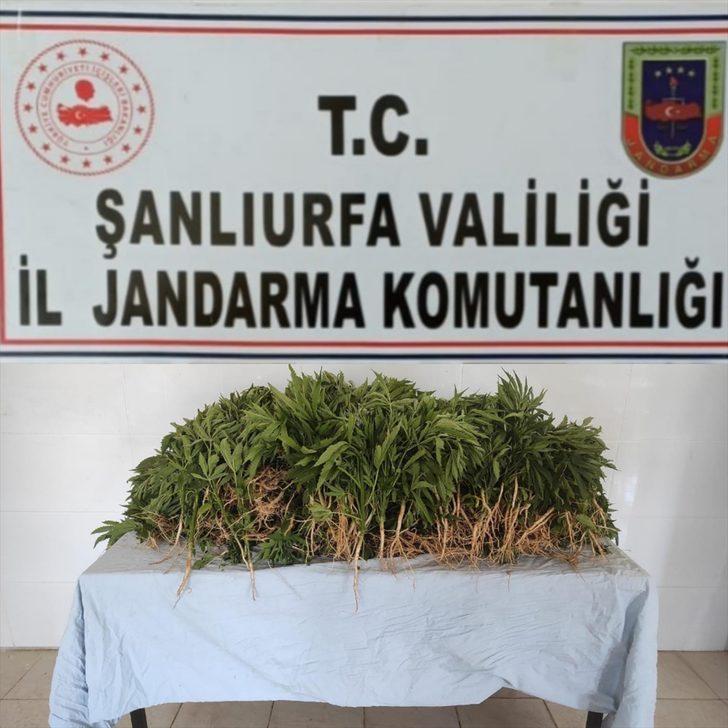 Şanlıurfa'da uyuşturucu operasyonunda 2 tutuklama G2