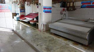 Pandemi, müsilaj, pahalılık derken balıkçıların işleri bitme noktasına geldi