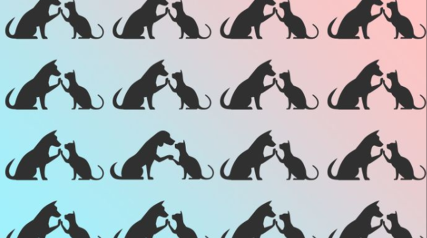 ‘Kedi ve köpek düşmandır’ diye kim demiş? Bu sevimli bulmaca hem eğlendirecek hem de görsel yeteneklerinizi arttıracak