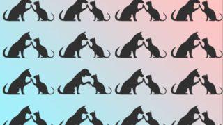 ‘Kedi ve köpek düşmandır’ diye kim demiş? Bu sevimli bulmaca hem eğlendirecek hem de görsel yeteneklerinizi arttıracak