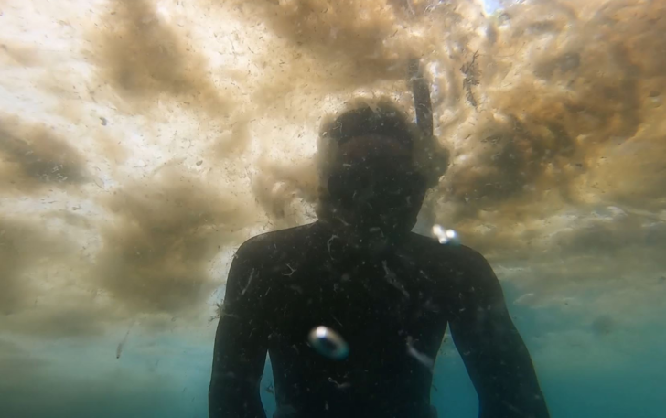 Marmara'da müsilaja daldı, denizin üstü de altı da içleri acıttı!  G2