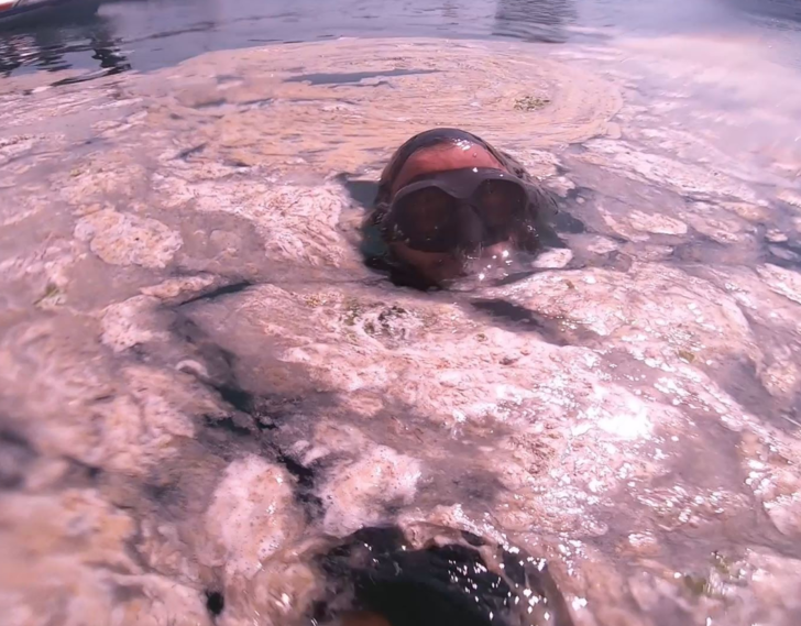 Marmara'da müsilaja daldı, denizin üstü de altı da içleri acıttı!  G4