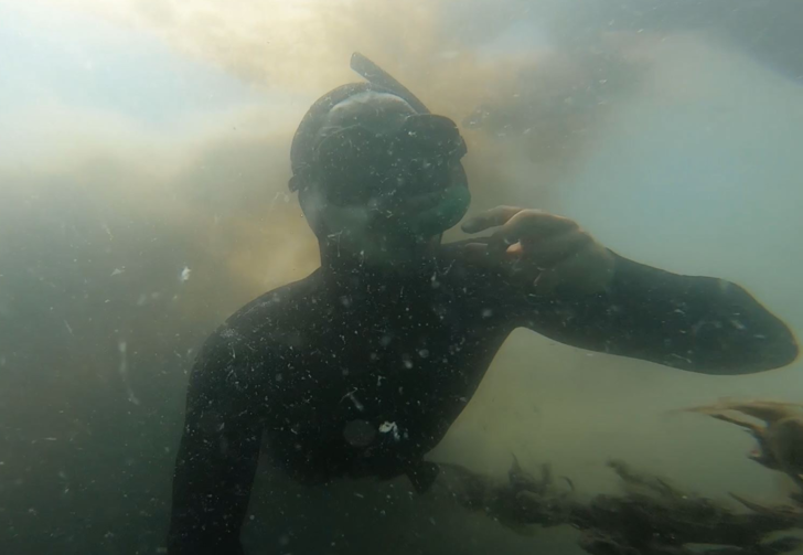 Marmara'da müsilaja daldı, denizin üstü de altı da içleri acıttı!  G3