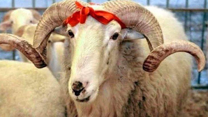 Kurban Bayramına kaç gün kaldı? Kurban bayramı ayın kaçında? G3