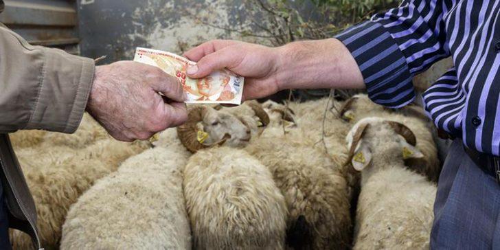 Kurban Bayramına kaç gün kaldı? Kurban bayramı ayın kaçında? G5