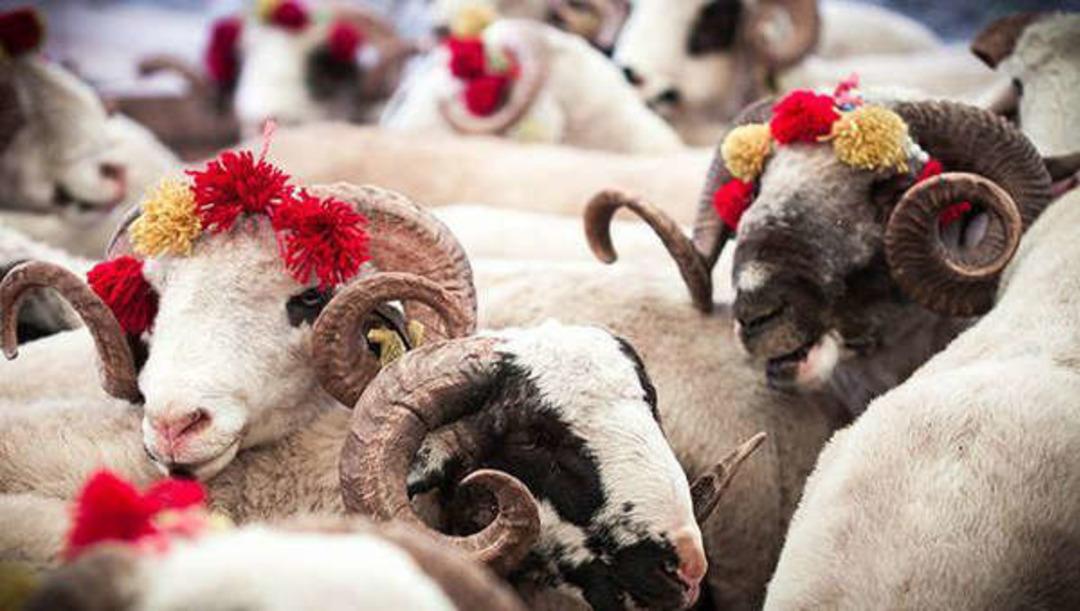 Kurban Bayramına ka&ccedil; g&uuml;n kaldı? Kurban bayramı ayın ka&ccedil;ında?