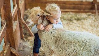 Resimli ve anlamlı Kurban Bayramı Mesajları! En farklı ve anlamlı bayram mesajları ve sözleri