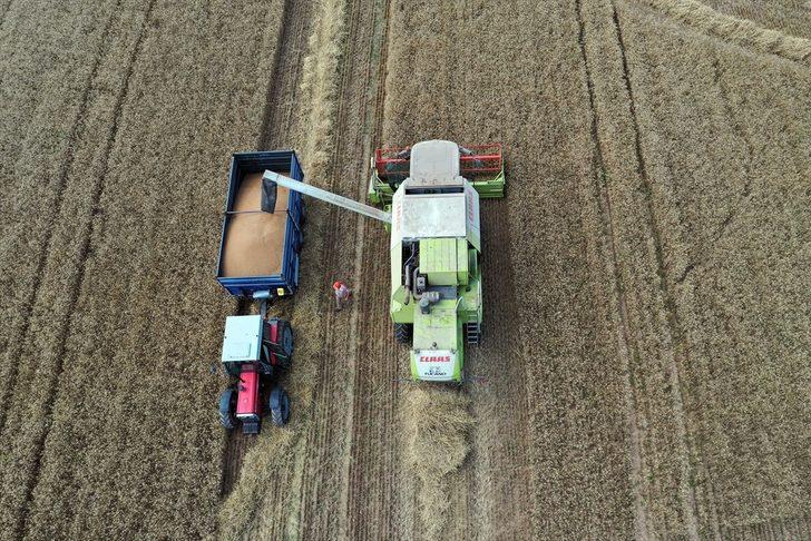 Buğday hasadına başlayan Edirneli çiftçinin yüzü, yüksek rekolteyle gülüyor G1