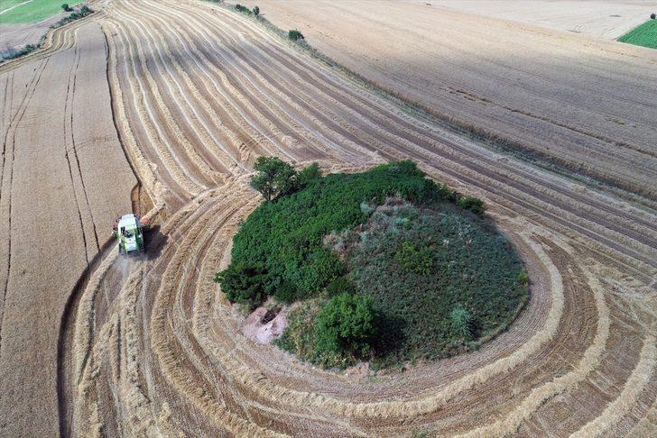 Buğday hasadına başlayan Edirneli çiftçinin yüzü, yüksek rekolteyle gülüyor G2