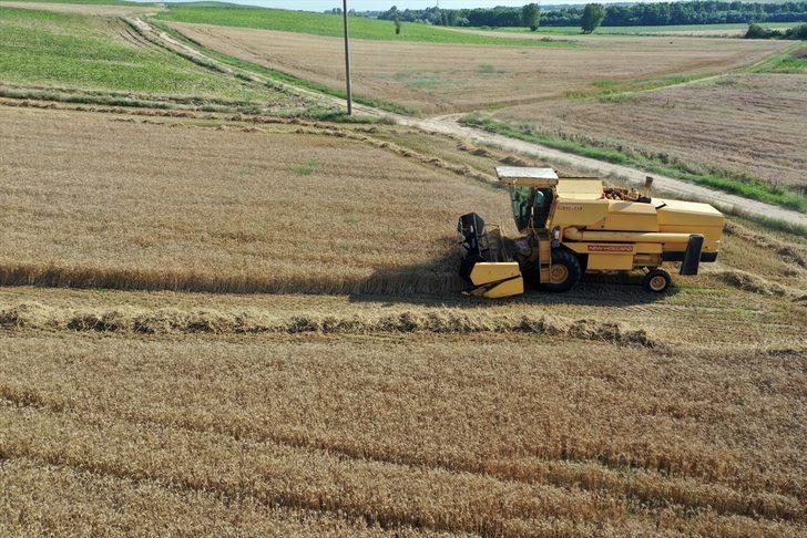 Buğday hasadına başlayan Edirneli çiftçinin yüzü, yüksek rekolteyle gülüyor G5