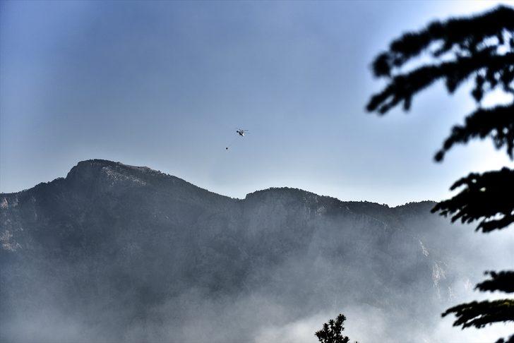 GÜNCELLEME 2 - Mersin'de dün başlayan orman yangını kontrol altına alındı G4