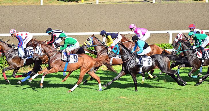 Gazi Koşu’sunu kim kazandı? İşte Gazi Koşusu’nun şampiyonu… G3