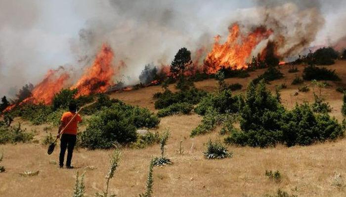 Bingöl'de 14 gün sonra aynı yerde orman yangını