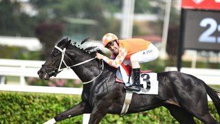 95. Gazi Koşusu'nu Ahmet Çelik kazandı