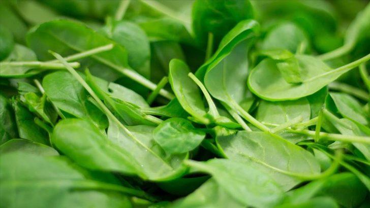 Kalamar dolması nasıl yapılır? Kalamar dolması tarifi ve malzemeleri nelerdir?  G4