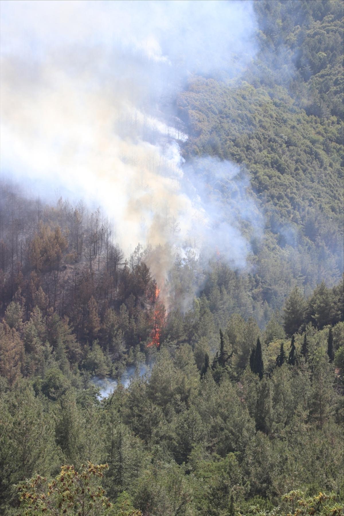 G&Uuml;NCELLEME - Denizli'de &ccedil;ıkan orman yangınına m&uuml;dahale s&uuml;r&uuml;yor