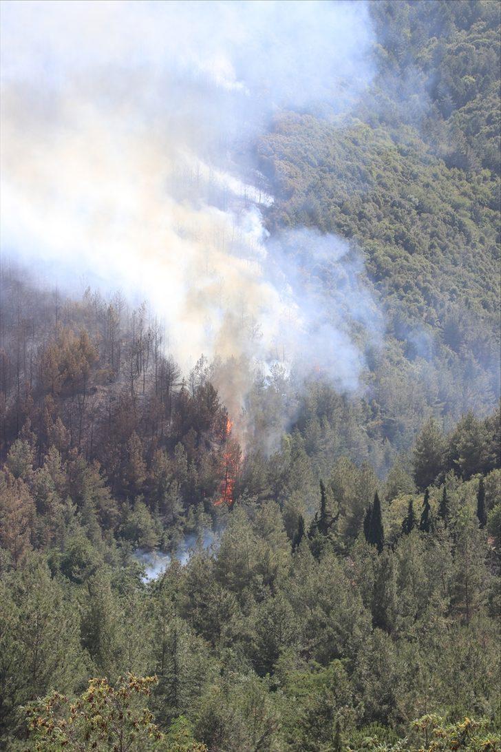GÜNCELLEME - Denizli'de çıkan orman yangınına müdahale sürüyor G1