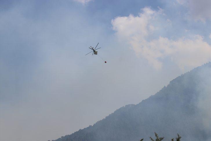GÜNCELLEME - Denizli'de çıkan orman yangınına müdahale sürüyor G2