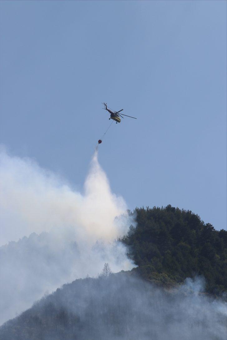 GÜNCELLEME - Denizli'de çıkan orman yangınına müdahale sürüyor G3