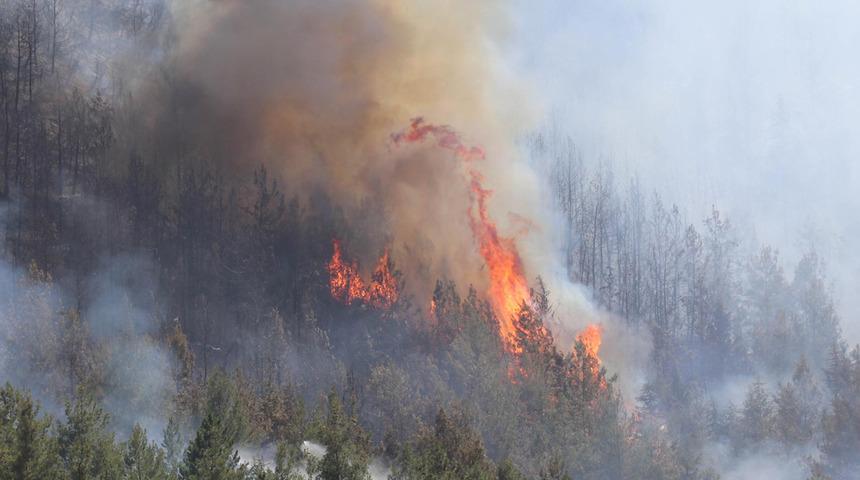 Denizli’deki orman yangını kontrol altına alındı