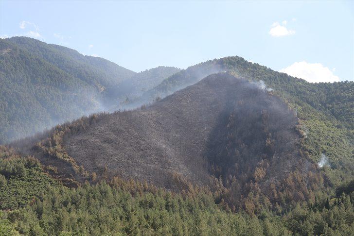 GÜNCELLEME 2 - Denizli'de çıkan orman yangını kontrol altına alındı G1
