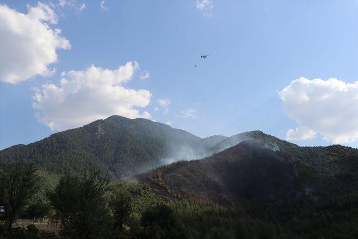 GÜNCELLEME 2 - Denizli'de çıkan orman yangını kontrol altına alındı G2