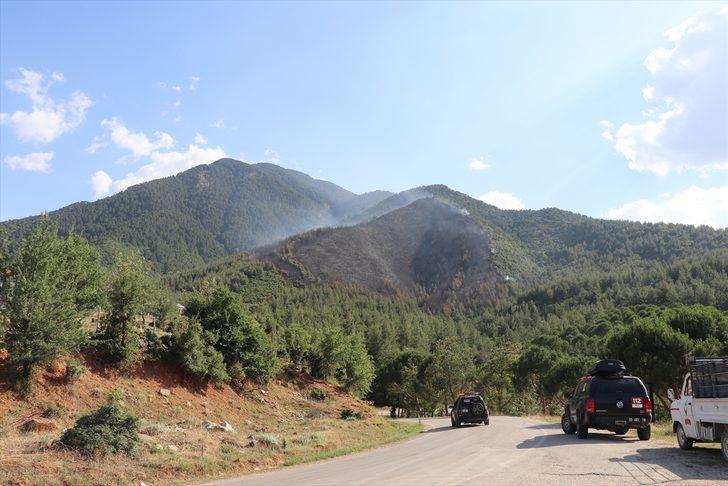 GÜNCELLEME 2 - Denizli'de çıkan orman yangını kontrol altına alındı G3