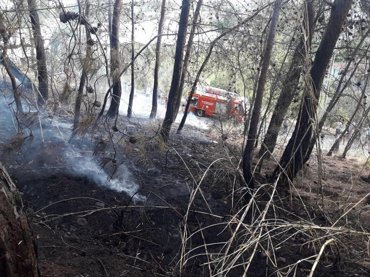 Fethiye'deki orman yangını s&ouml;nd&uuml;r&uuml;ld&uuml;